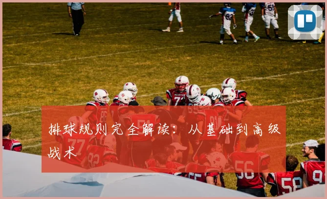 排球规则完全解读:从基础到高级战术