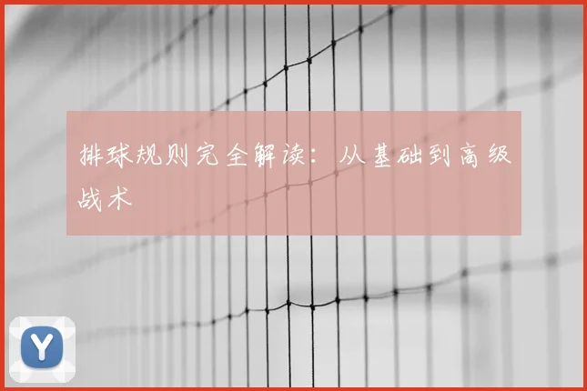 排球规则完全解读：从基础到高级战术