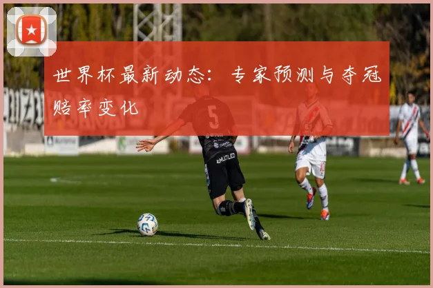 世界杯最新动态：专家预测与夺冠赔率变化