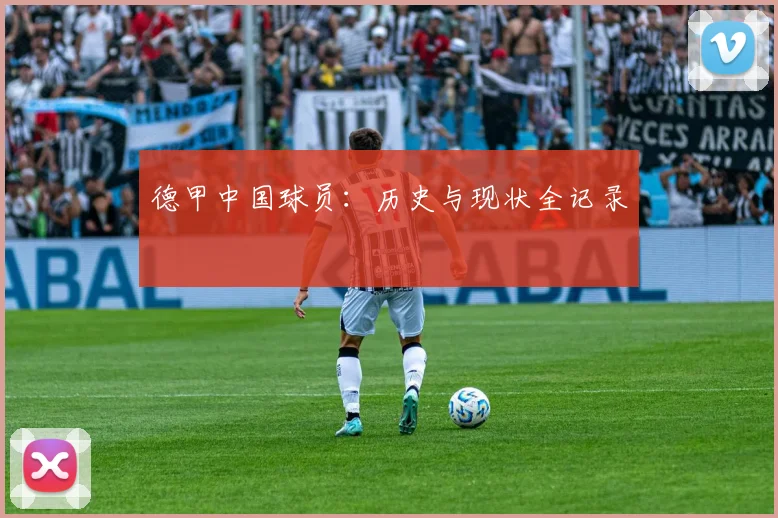 德甲中国球员：历史与现状全记录
