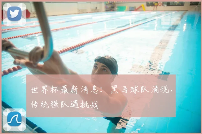 世界杯最新消息：黑马球队涌现，传统强队遇挑战