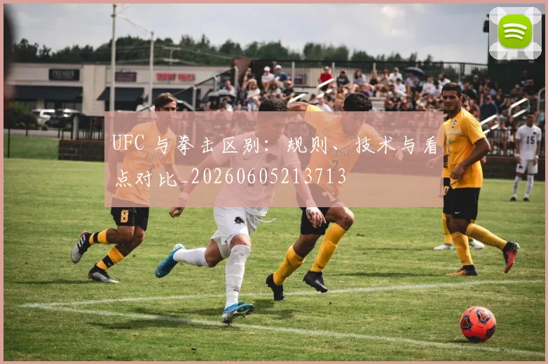 UFC 与拳击区别：规则、技术与看点对比_20260605213713