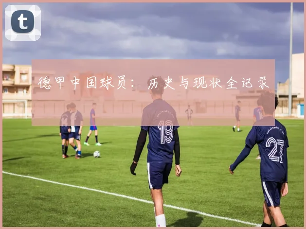德甲中国球员:历史与现状全记录