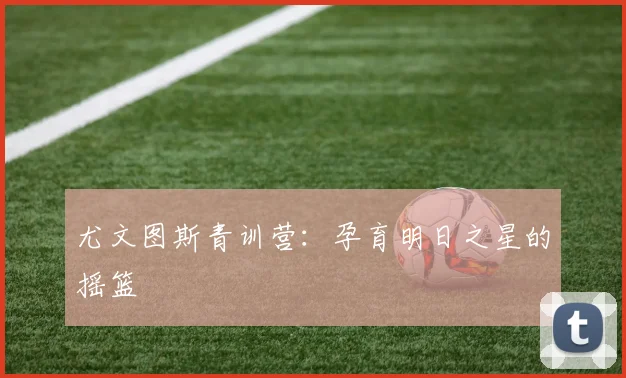 尤文图斯青训营：孕育明日之星的摇篮