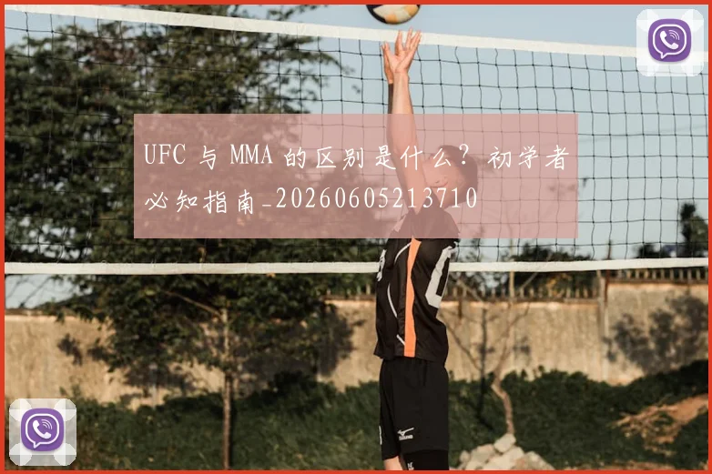 UFC 与 MMA 的区别是什么？初学者必知指南_20260605213710